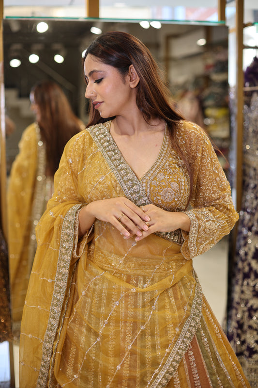 Multi kali organza lehenga set