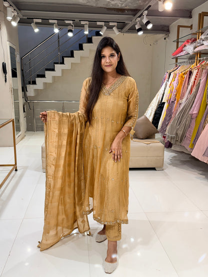 Tissue anarkali suit
