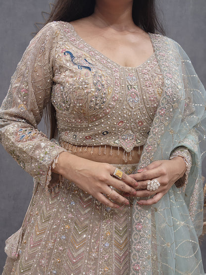 Peacock aariwork net lehenga with sky dupatta