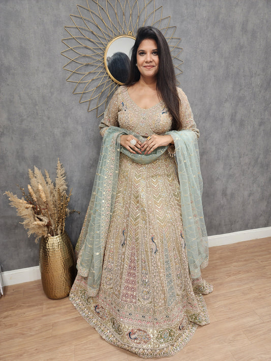 Peacock aariwork net lehenga with sky dupatta