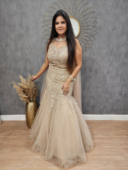Diva fishcut Embroided lehenga