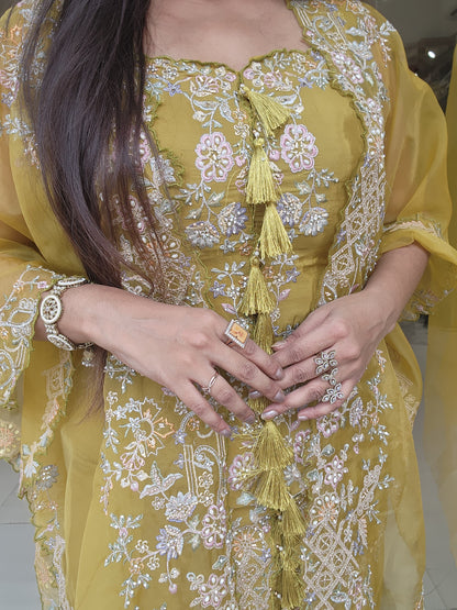 Raabta 3pc cape indowestern dress