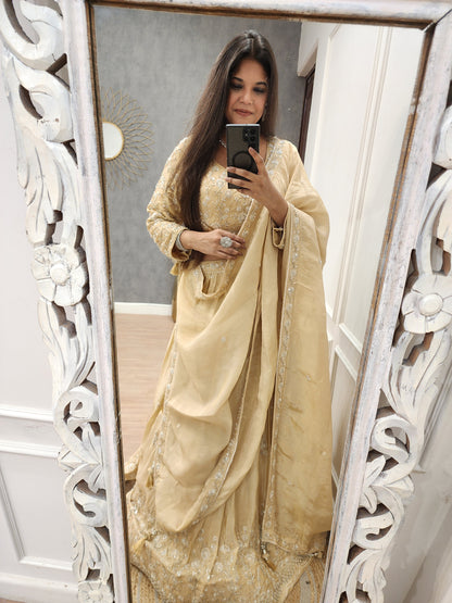 Royal embellished lehenga set