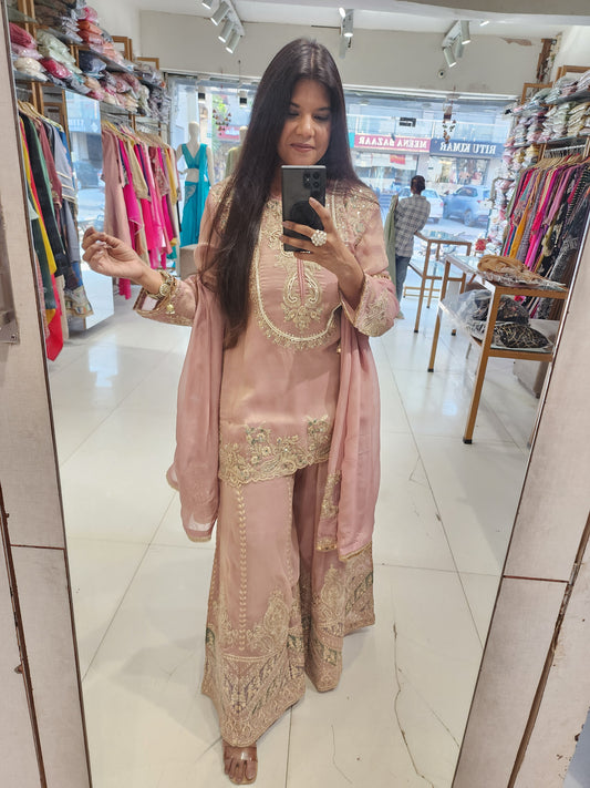 Onion pink organza tissue sharara suit