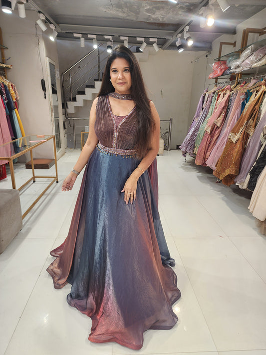 Ombre shade organza maxi gown(seperate sleeves available)