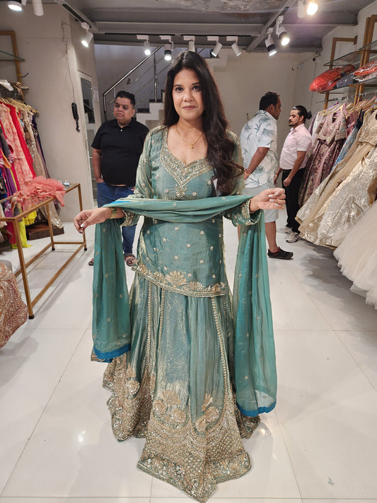 Long choli indowestern lehenga set