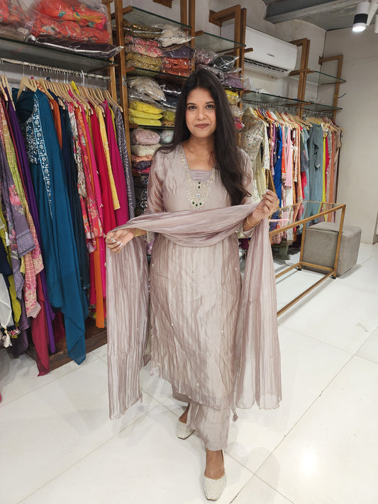 Organza tissue embroided straight cut suit