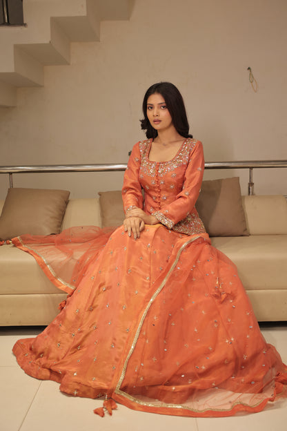 Long blouse indowestern dress