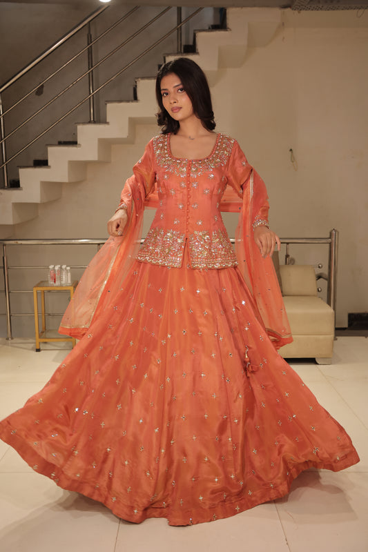 Long blouse indowestern dress