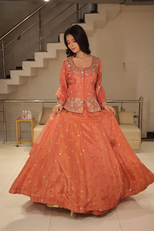 Long blouse indowestern dress