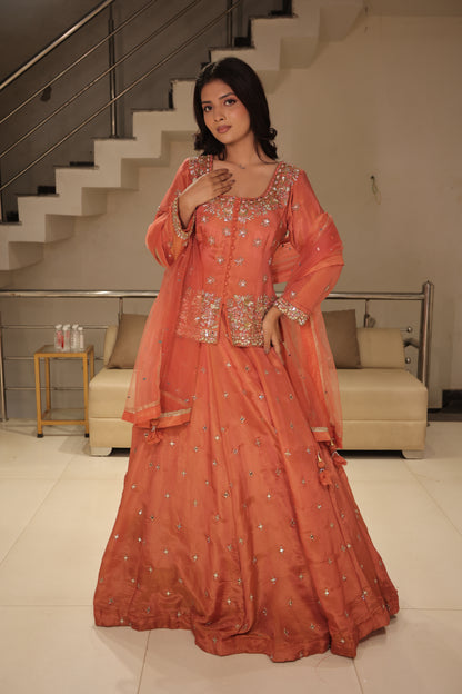 Long blouse indowestern dress