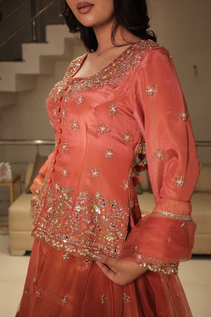 Long blouse indowestern dress