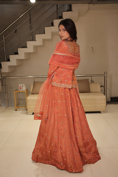 Long blouse indowestern dress