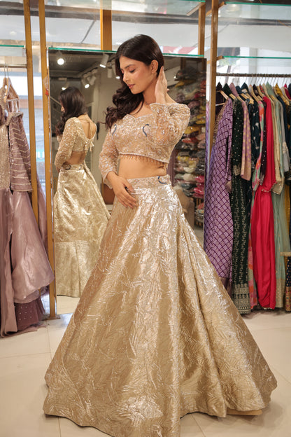 Gold embelisshed lehenga set