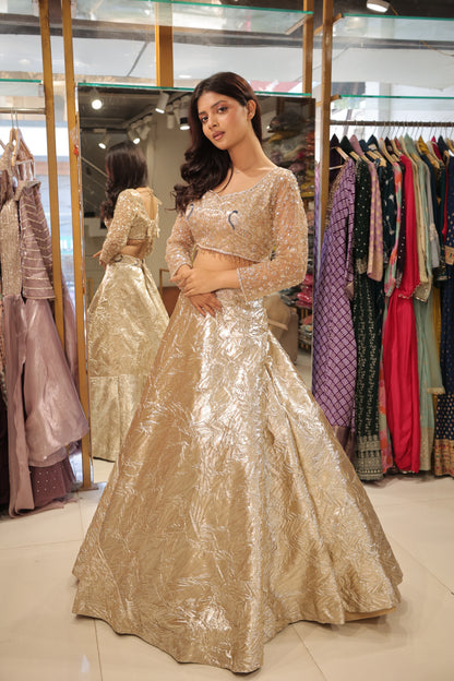 Gold embelisshed lehenga set