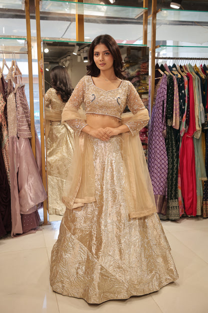 Gold embelisshed lehenga set