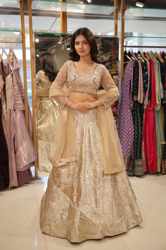 Gold embelisshed lehenga set