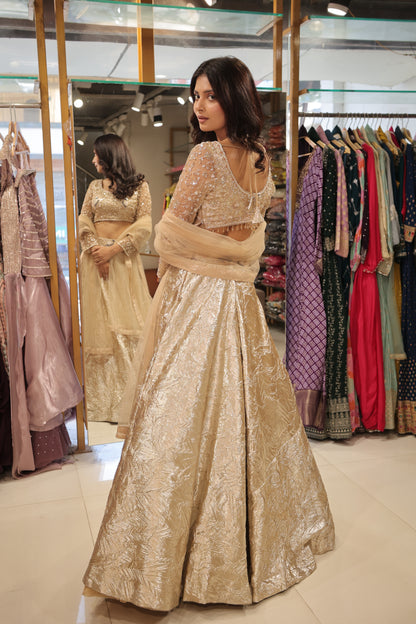 Gold embelisshed lehenga set
