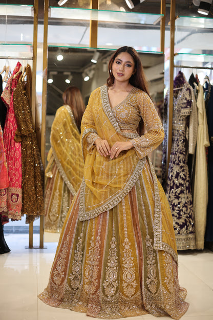 Multi kali organza lehenga set