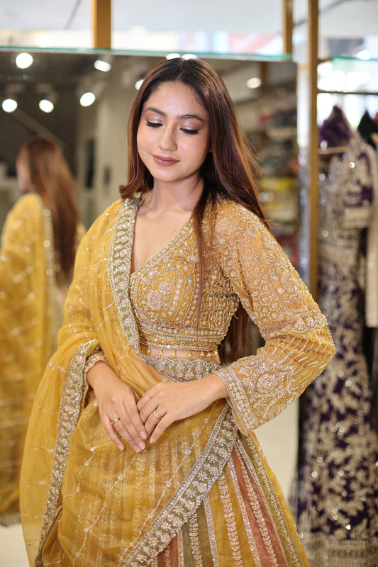 Multi kali organza lehenga set