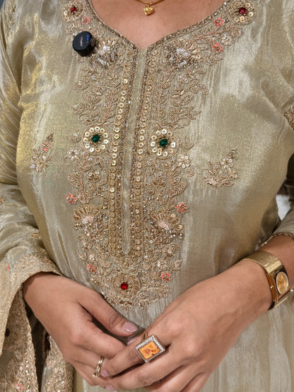 Noor jewel work shimmer tissue straight cut suit