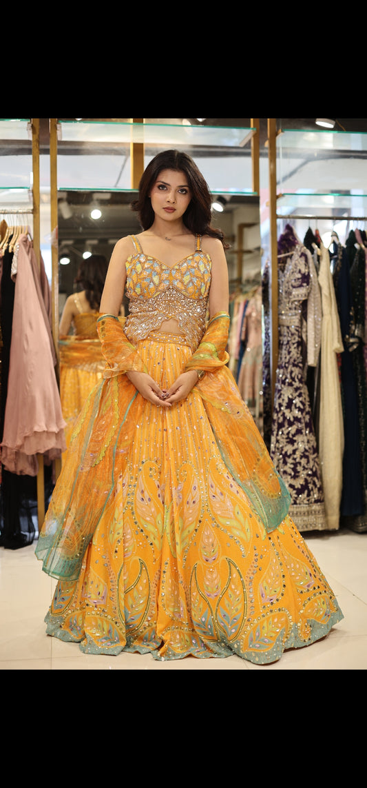 Carnival butterfly lehenga set